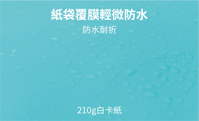 紙袋30