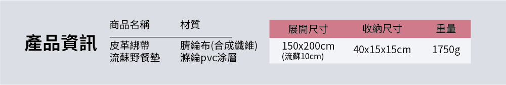 野餐墊10
